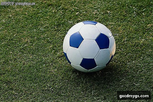 关于雷竞技Raybet